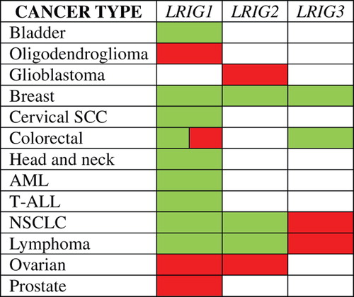 Figure 1. Over- and under-expression of LRIG genes in human cancers compared with their normal tissue counterparts. Altered expression is indicated only when two or more studies in the Oncomine database showed over- or under-expression for their respective cancer type. Red indicates over-expression and green indicates under-expression in tumors versus normal tissue. Colorectal cancer showed both over- and under-expression of LRIG1. AML, acute myeloid leukemia; NSCLC, non-small cell lung cancer; SCC, squamous cell carcinoma; T-ALL, T-cell acute lymphoblastic leukemia.