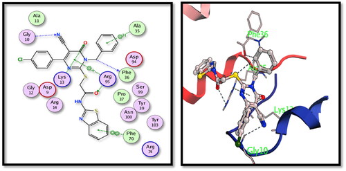 Figure 7. The 2D and 3D interactions of compound 5c with the binding position of TMPKmt enzyme.