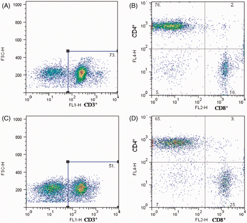 Figure 6. Flow cytometry diagrams of quantitative changes of lymphocytes in the MLNs on day 3 after heat stress. Top row, control group; lower row, heat-stress group. A and C represent the numbers of CD3+ T cells in the MLNs. B and D represent the percentages of T-cell sub-populations, top left section represent CD3+CD4+CD8− Th cells and low right section represent CD3+CD4-CD8+ Tc cells.