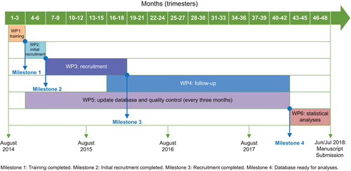 Figure 2. Gantt chart showing work packages and milestones and associated timelines.