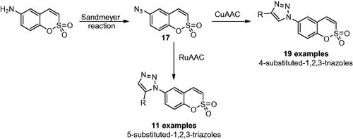 Scheme 1. Click-tailing strategies to generate 4-substituted-1,2,3-triazoles and 5-substituted-1,2,3-triazoles sulfocumarins.