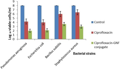 Figure 9 Graph showing percent survival of bacterial strains against ciprofloxacin and ciprofloxacin–GNF conjugate.