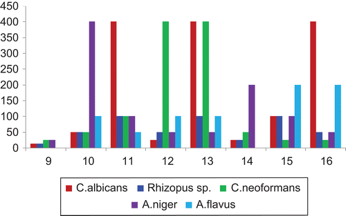 Figure 5.  Comparison of potency of compounds 9–16 with amphotericin B (as standard) against fungal strains from serial dilution method.