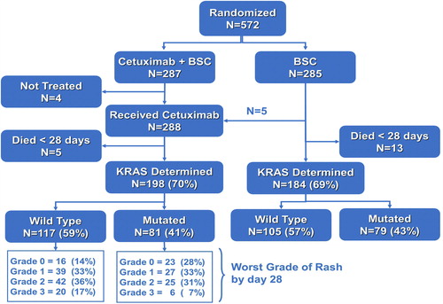 Figure 1. Disposition of patients included in rash analyses.