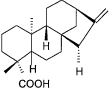 Figure 1.  Structure of the ent-kaur-16-en-19-oic acid.