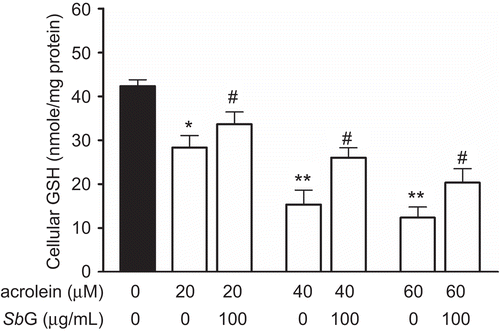 Figure 4.  Protective effects of SbG on HUVE cells. The cells were treated with acrolein for 24 h at different concentrations. In the another set of the experiment, the cells were pretreated with 100 µg/mL SbG. Data were presented as mean±SEM of three independent experiments. *P <0.05, ** P < 0.01 versus the control, # P < 0.05, versus the acrolein alone group.