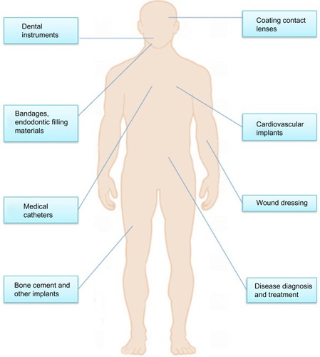 Figure 1 Biomedical applications of nanosilver particles in human health care.