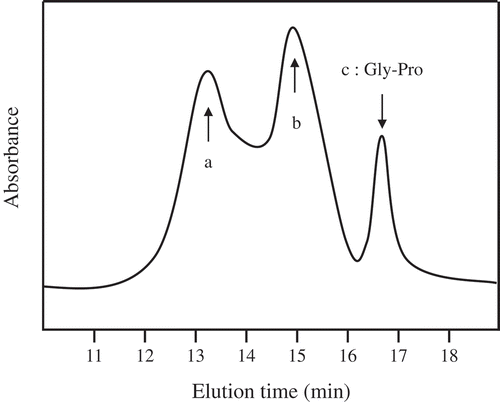 Figure 1. Gel permeation chromatography profile of CPNS. CPNS prepared from fish scale was analyzed using an Ultra hydrogel column, and elution monitored by absorbance at 220 nm. Arrow indicates elution positions of the standard peptide. (a) peak of avg. MW 650 peptides, (b) peak of avg. MW 1,500 peptides, (c) peak of Gly-Pro dipeptide.