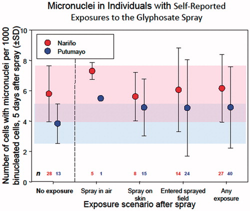 Figure 2. Mean frequency of binucleated cells with micronuclei (BNMN) in self-reported exposures to glyphosate spray in areas where aerial application occurred. From Bolognesi et al. (Citation2009); Table 4. Data from Valle del Cauca not shown in graph since only one individual reported exposure. Graph provided by K. Solomon.