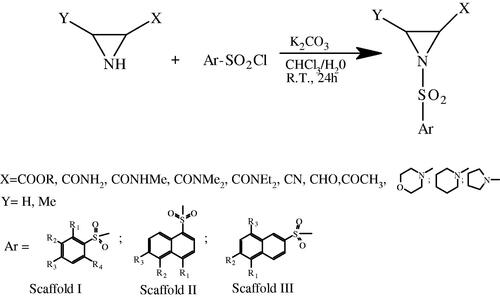 Scheme 1. Synthetic pathway of 1-arylsulfonyl-aziridine-2-carboxylic acid derivatives (Scaffolds I–III, for definition of substituents see Tables 1–3).