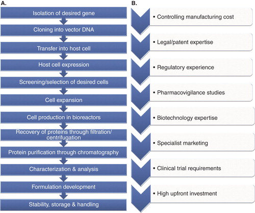 Figure 2. (A) Steps involved in the manufacturing process of biosimilars, and (B) Challenges involved in developing biosimilars.