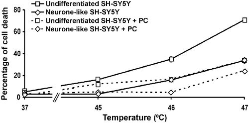 Figure 1. Hyperthermic sensitivity in undifferentiated and neurone-like SH-SY5Y cells. Cells were exposed to the indicated temperatures for 30 min. After 18 h recovery at 37°C, the percentage of cells undergoing cell death was determined. Where indicated, cells were thermally preconditioned (PC) by heating at 43°C for 30 min followed by recovery at 37°C for 8 h before subsequent severe hyperthermic stress at the temperatures shown. All results are from three independent experiments. Error bars indicate standard deviation.