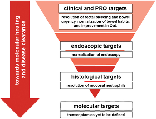 Figure 1. UC treatment targets.