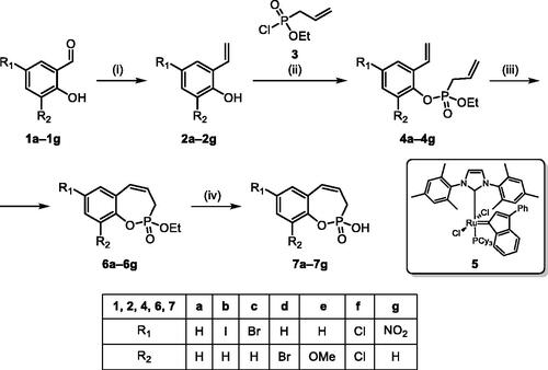 Scheme 1. Reagents and conditions: (i) MePPh3Br, t-BuOK, THF, rt, 18 h, 76–88%; (ii) NEt3, DCM, 0 °C to rt, 18 h, 60–94%; (iii) 5, PhMe, 70 °C, 4 h, 63–86%; (iv) TMSBr, DCM, rt, 24 h, 71–90%.