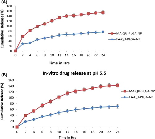 Figure 4. In vitro drug release of Qu from ligand-conjugated NPs at a pH of 5.6 and 5.5. (A) The release profile of FA-Qu-PLGA &MA-Qu-PLGA NPs at a pH of 5.6, (B) The release profile of FA-Qu-PLGA &MA-Qu-PLGA-NPs at a pH of 5.5.