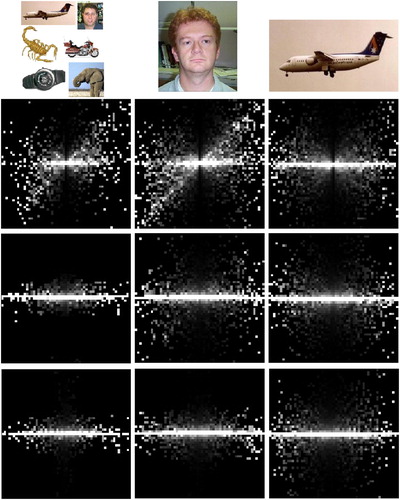 Figure 1. Joint histograms of three pairs of filters calculated from different sets of images. Each row displays the histograms of one pair of filters. These three pairs of filters differ in their relative distances with increasing distance from the upper to the lower row. Each column displays the histograms calculated using images of different categories (refer to text).