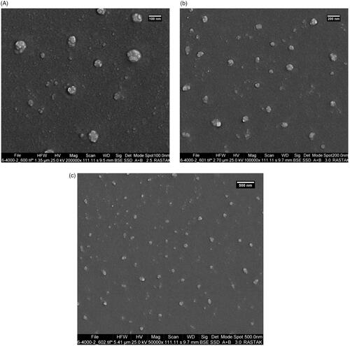 Figure 2. SEM microscope images of PEGylated liposomal nanoparticles containing etoposide in various magnifications: (a) 100 nm, (b) 200 nm, and (c) 500 nm.