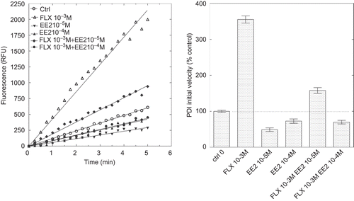 Figure 7.  Inhibition of protein disulphide isomerase (PDI) reductase activity by ethynylestradiol (EE2) in the presence of a potentiating concentration of fluoxetine (FLX). Left panel: kinetics of di-eosin oxidized glutathione reduction into fluorescent E-GSH catalyzed by PDI in the presence of 10−3 M FLX or 10−5 or 10−4 M EE2 alone or in the presence of 10−3 M FLX. Right panel: initial velocity of PDI reducing activity in the presence of either FLX or EE2 alone or in combination. RFU, relative fluorescence unit.