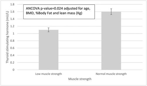 Figure 1. Thyroid stimulating hormone levels in women with low vs. normal muscle strength. Low muscle strength is defined as a HGS < 16 kg. Error bars represent standard deviation.