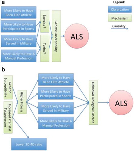 Figure 1. Two alternative schemas for causal mechanisms underlying the development of ALS. (a) The commonly held paradigm. (b) A prenatal-testosterone exposure paradigm.