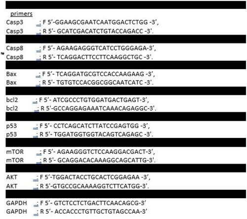 Figure 16. Primer sequences of the targeted genes.