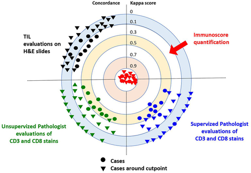 Figure 2. Agreements between pathologists’ T-score and the reference immunoscore are illustrated by Cohen’s kappa scores for 270 colon cancer patients, before and after supervised training. Kappa scores: none (0–0.2), weak (0.4–0.59), moderate (0.6–0.79), strong (0.8–0.9) and almost perfect (>0.9). IS digital pathology quantification showed almost perfect concordance (Cohen’s kappa K > 0.9) in the reproducibility. No concordance (Cohen’s kappa K < 0.25) was observed between TIL evaluated on H&E slides and immunoscore. A weak or minimal concordance (Cohen’s kappa K < 0.5) was observed between pathologists’ visual evaluation of stained CD3 and CD8 slides, both before and after training and with known IS cases. No concordance (Cohen’s kappa K < 0.12) was observed between pathologists’ visual evaluation of stained CD3 and CD8 slides, both before and after training. Each dot represents one observer. Each triangle illustrates evaluation of cases around the cut-points by one observer. Data points and kappa scores are previously described,Citation52 supplementary data.