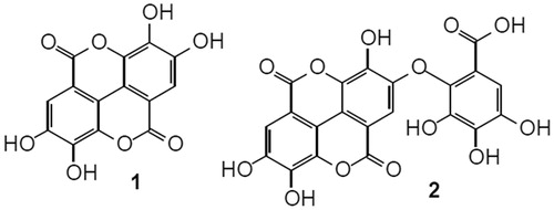 Figure 1. Chemical structures of ellagic acid (1) and valoneic acid dilactone (2).