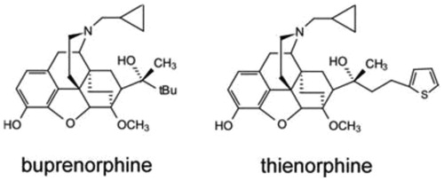 Figure 1. The chemical structures of buprenorphine and thienorphine.