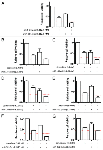 Figure 4. Combining the miRNA inhibitors with each other and with other anti-cancer agents enhances their effects on cell viability. (A) Effect of combining the miR-133ab and miR-361-3p inhibitors on cell viability in H1993 cells. (B–G) Effect of combining miR-133ab inhibitor (B–D) and miR-361-3p inhibitor (E–G) with paclitaxel, vinorelbine, and gemcitabine on cell viability in H1993 cells. The red lines indicate predicted thresholds for synergy under the assumption of Bliss independence.