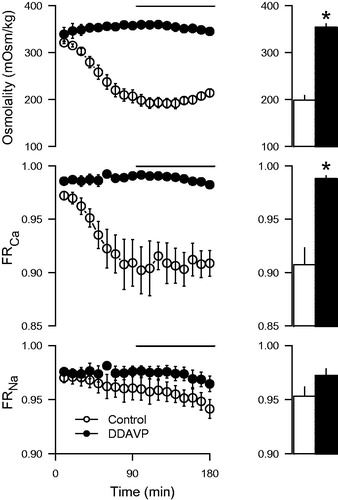 Figure 2. Urine osmolality, fractional calcium (FRCa), and sodium reabsorption (FRNa) in kidneys perfused with desmopressin (DDAVP; 400 ng/L) compared to control experiments. The bars represent mean values from the period 90–180 min (indicated by the line). Albumin concentration in the perfusate was 7.5%. *p < 0.05 versus control.