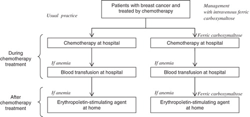 Figure 1.  Comparison of treatment strategies in chemotherapy-induced anemia in breast cancer.