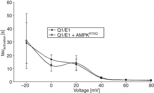 Figure 2. Co-expression of AMPK did not significantly modify activation kinetics of voltage-gated outward currents in KCNQ1/KCNE1-expressing Xenopus oocytes. Arithmetic means ± SEM (n = 31–36) of the time constant (τ) plotted vs. the depolarizing potential in Xenopus oocytes expressing KCNQ1/KCNE1 alone (closed symbols) or KCNQ1/KCNE1 together with constitutively active R70QAMPK (open symbols).