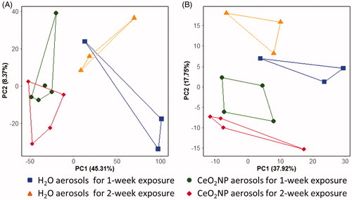 Figure 5. Principal component analysis (PCA) score plots of the gene expression (A) and lipidomics profiles (B) of lung tissue from rats exposed to H2O and CeO2NP aerosols for 1 week and 2 weeks at 3 d post-exposure.