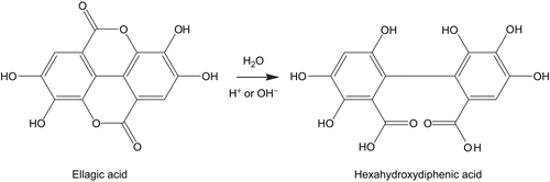 Figure 2.  Hydrolysis of ellagic acid to hexahydroxydiphenic acid.