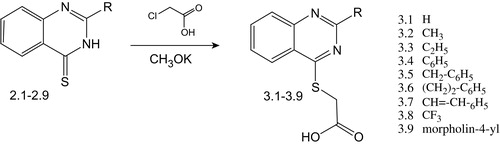 Scheme 4. Synthesis of (2-R-quinazolin-4(3H)-ylthio)acetic acids.