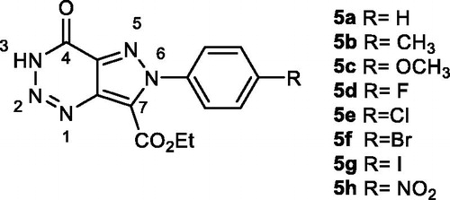 Figure 4. New design scaffold for potential GSK-3 inhibition.