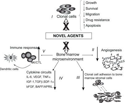 Figure 1 Mechanisms of action of novel agents. Novel molecules can: I) directly inhibit clonal cells; II) inhibit angiogensis; III) inhibit tumor cell adhesion to bone marrow stromal cells (BMSCs); IV) decrease cytokine production from BMSCs; V) increase host anti-tumor immunity.