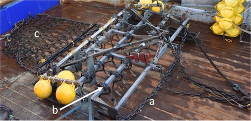Figure 3. The Sediment Cloud Induction Plough (SCIP) used during the Butterknife disturbance experiment, showing (a) tickler chain, (b) tynes, and (c) harrow mat.
