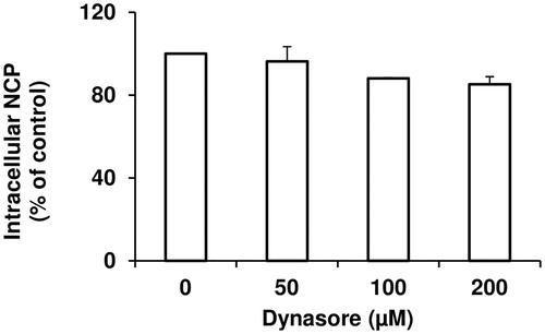 Figure 7. The dependence of [3H]9-norbornyl-6-chloropurine ([3H]NCP) uptake on the clathrine-dependent endocytosis inhibitor, dynasore. CCRF-CEM cells were preincubated with 0 to 200 µM dynasore (□) for 20 min at 37°C after which 10 µM (0.2 µCi/ml) [3H]NCP was added and the intracellular level was measured following 2-min incubation. The absolute value of control sample (NCP only) = 0.9 ± 0.1 nmol.