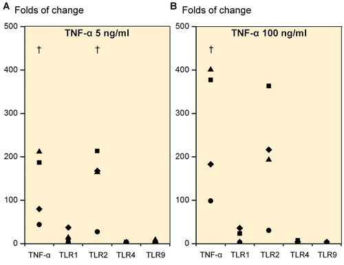 Figure 4. Folds of change in tumor necrosis factor-α (TNF-α), TLR1, TLR2, TLR4, and TLR9 upon stimulation of primary 3D chondrocyte pellet cultures. Stimulation with 5 ng/mL TNF-α (A) and with 100 ng/mL TNF-α (B). † p ≤ 0.05. All statistical comparisons were against unstimulated cultures (normalized to 1).