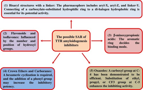 Figure 22 The possible structure–activity relationship of TTR amyloidogenesis inhibitors, including bisayl structures with a linker, flavonoids and isoflavones, β-minoxypropionic acids, crown ethers and carboranes, and oxazoles.
