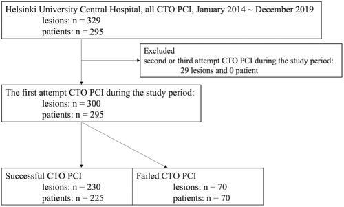 Figure 1. Study flow chart. CTO: chronic total occlusion; PCI: percutaneous coronary intervention.