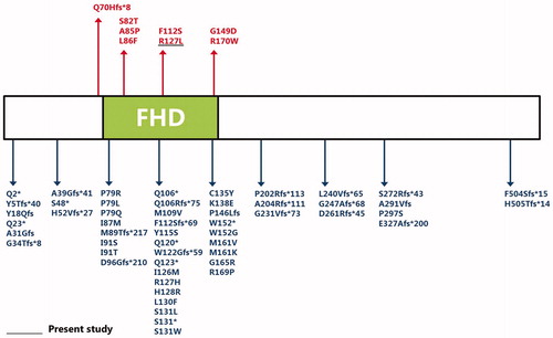 FIGURE 3. Overview of all known and novel FOXC1 mutations, deletions or duplications. The FOXC1 coding region is shown, with all known FOXC1 mutations associated with (red lettering) and not associated with heart disease (blue lettering). Green rectangle: The DNA-binding FHD.