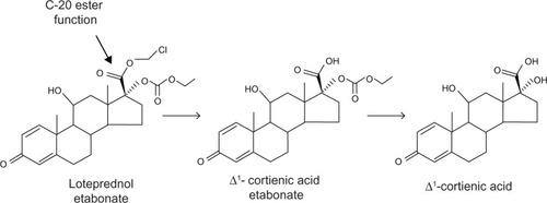 Figure 1 Molecular structure of loteprednol etabonate and metabolism of loteprednol etabonate to inactive metabolites.