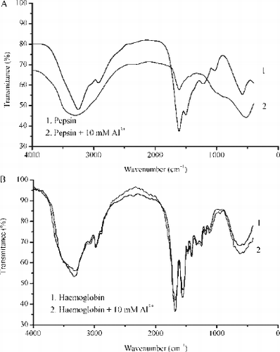 FIG. 6  A–IR spectra of pepsin (solid curve,1) and pepsin in a presence of 10 mM Al3 + ions (dotted curve,2) and B - IR spectra of haemoglobin (solid curve,1) and haemoglobin in a presence of 10 mM Al3 + ions (dotted curve,2). IR spectra were recorded in KBr matrices.