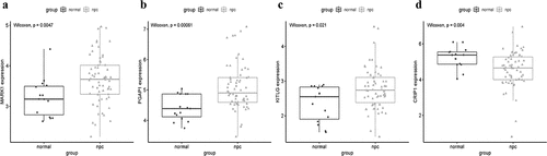 Figure 9. Validation the expression levels of four hub genes in the combined microarray datasets. (a-d) PGAP1, MARK1, and KITLG were significantly higher expression in NPC compared with normal tissues, while CRIP1 was significantly lower expression in NPC compared with normal tissues