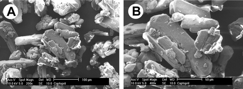 FIG. 1 Scanning electron microscopy of captopril (panels A and B, magnification × 200 and ×400, respectively).