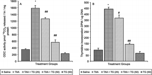 Figure 2 (A) Effect of pretreatment of rats with Tamarix gallica (TG) on thioacetamide (TAA)-mediated enhancement in (A) ornithine decarboxylase (ODC) activity and (B) 3H incorporation in hepatic DNA in rats. (Each value represents means ± S.E.; n = 6.*P < 0.001 compared to corresponding value for saline treated control. #P < 0.05 and ##P < 0.001 compared with the corresponding value for treatment with thioacetamide. TG -25 and TG -50 represent oral administration of Tamarix gallica of 25 and 50 mg/kg body weight respectively.