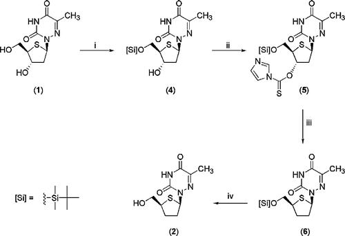 Scheme 1 Reagents and Conditions: (i) TBDMSCl, imidazole, DMF, 3.5 h (ii) thiocarbonyldiimidazole, CH2Cl2, 40°C, 8 h then r.t. 12 h (iii) Bu3SnH, 1,1′-azobis(cyclohexene-carbonitrile), toluene, 100°C, 30 min (iv) Dowex 50W (H+), MeOH, 24 h.