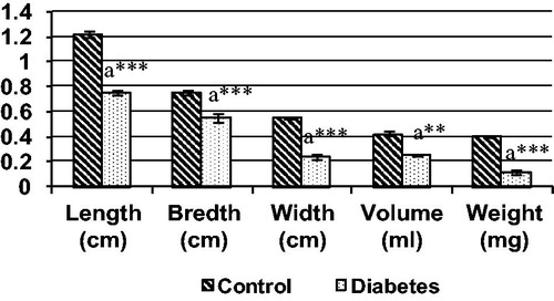 Figure 6. Various gross measurements of BS muscle in control and diabetic groups, each bar represents the mean ± SEM. aControl, **p < 0.01 and ***p < 0.001.